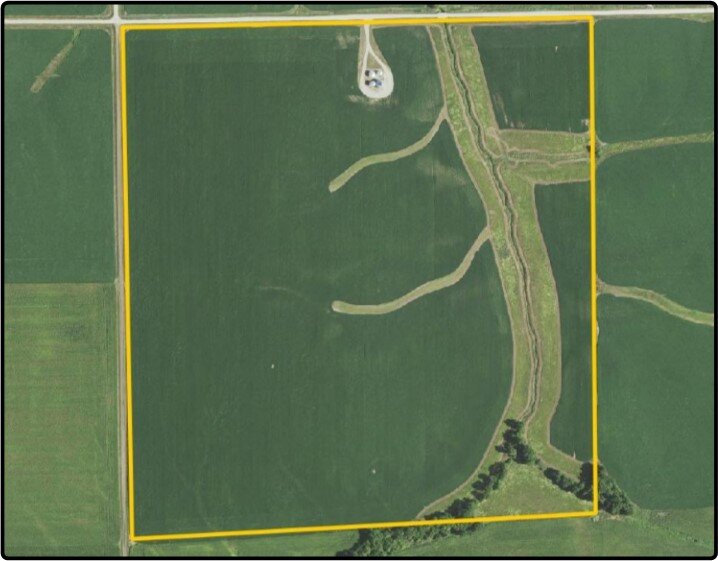 Parcel 3 Des Moines Co., IA 137.57 Ac., m/l (010253203)