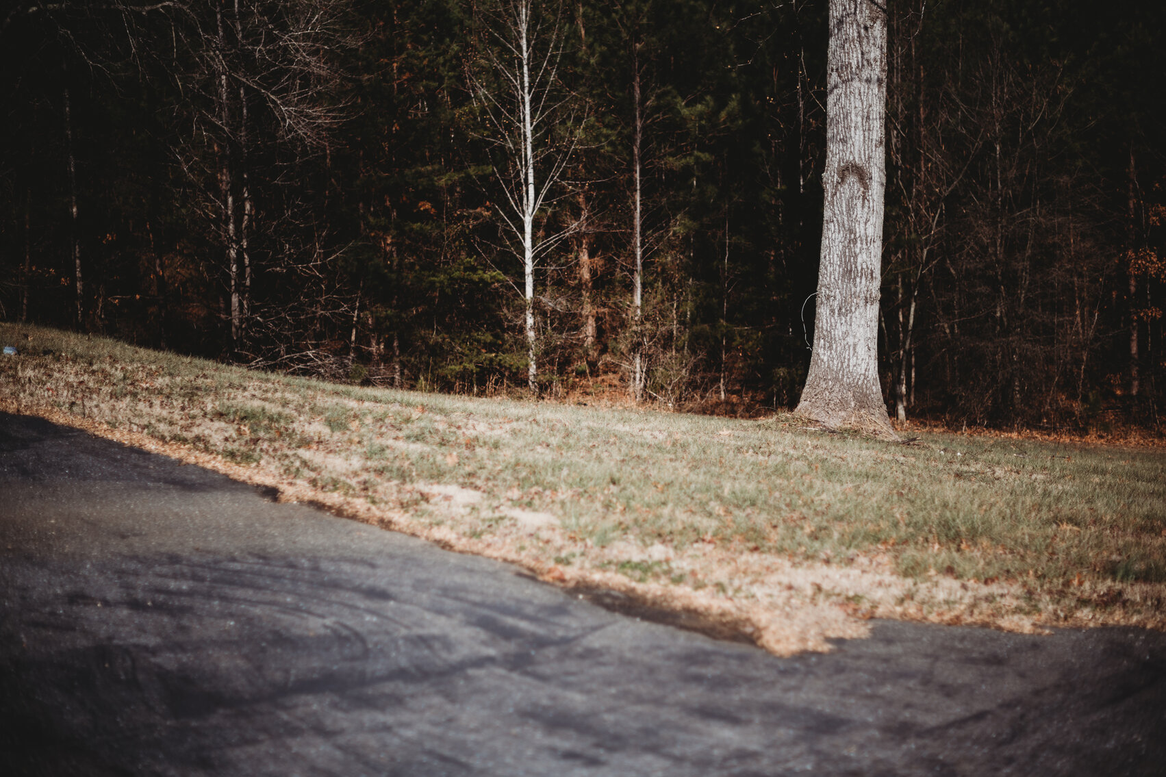 Image for 1212 Stage Coach Road, Nathalie VA 24577