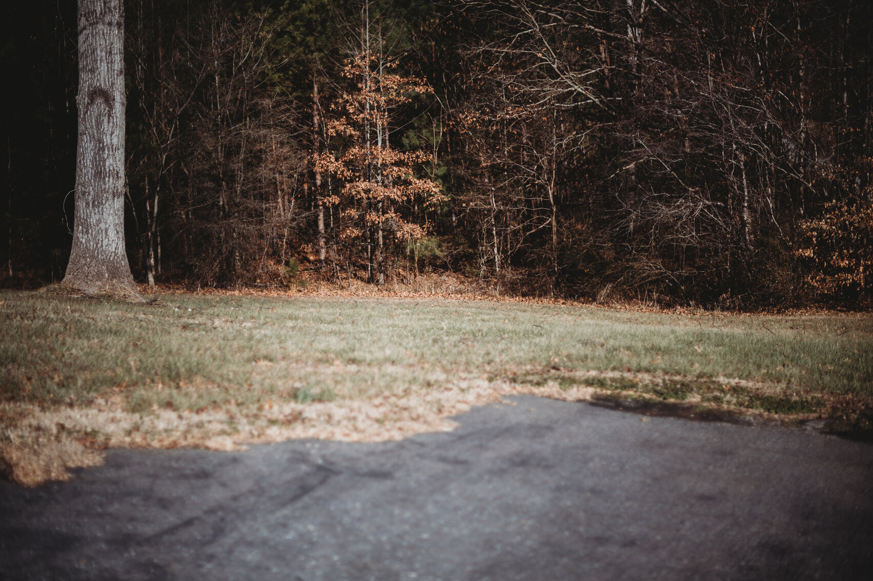 Image for 1212 Stage Coach Road, Nathalie VA 24577