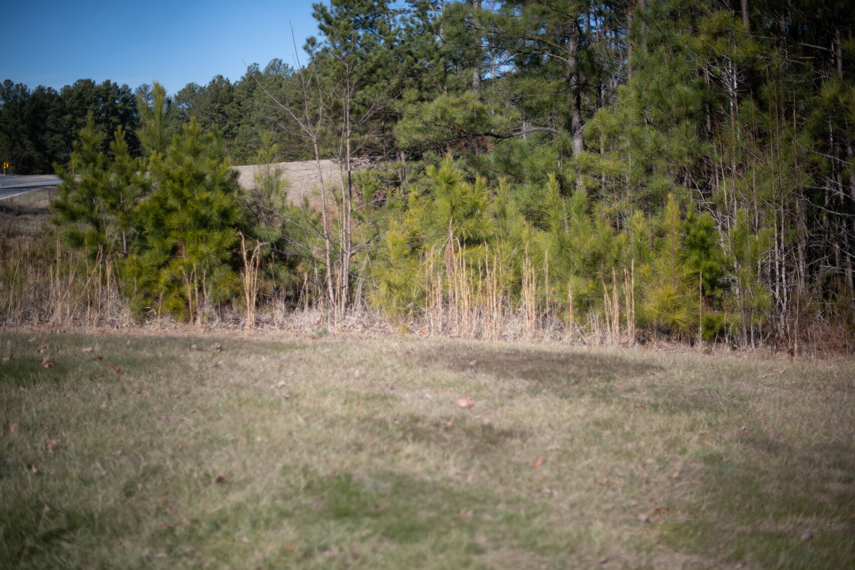 Image for 1212 Stage Coach Road, Nathalie VA 24577