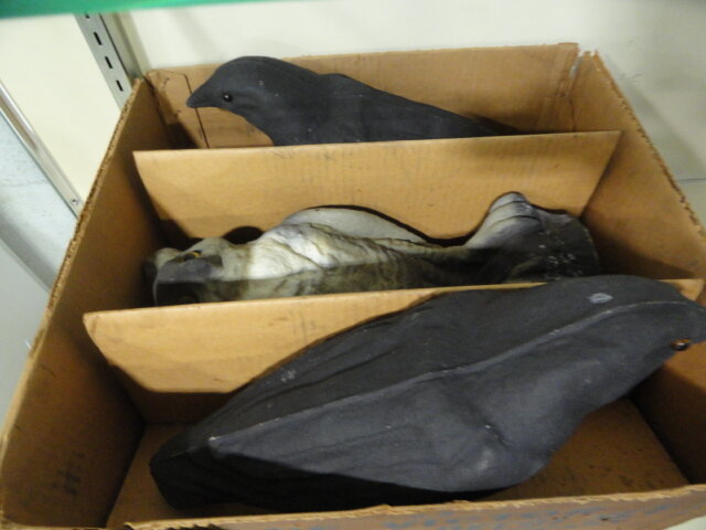 Image for Jan 5, 2023 Public Auction