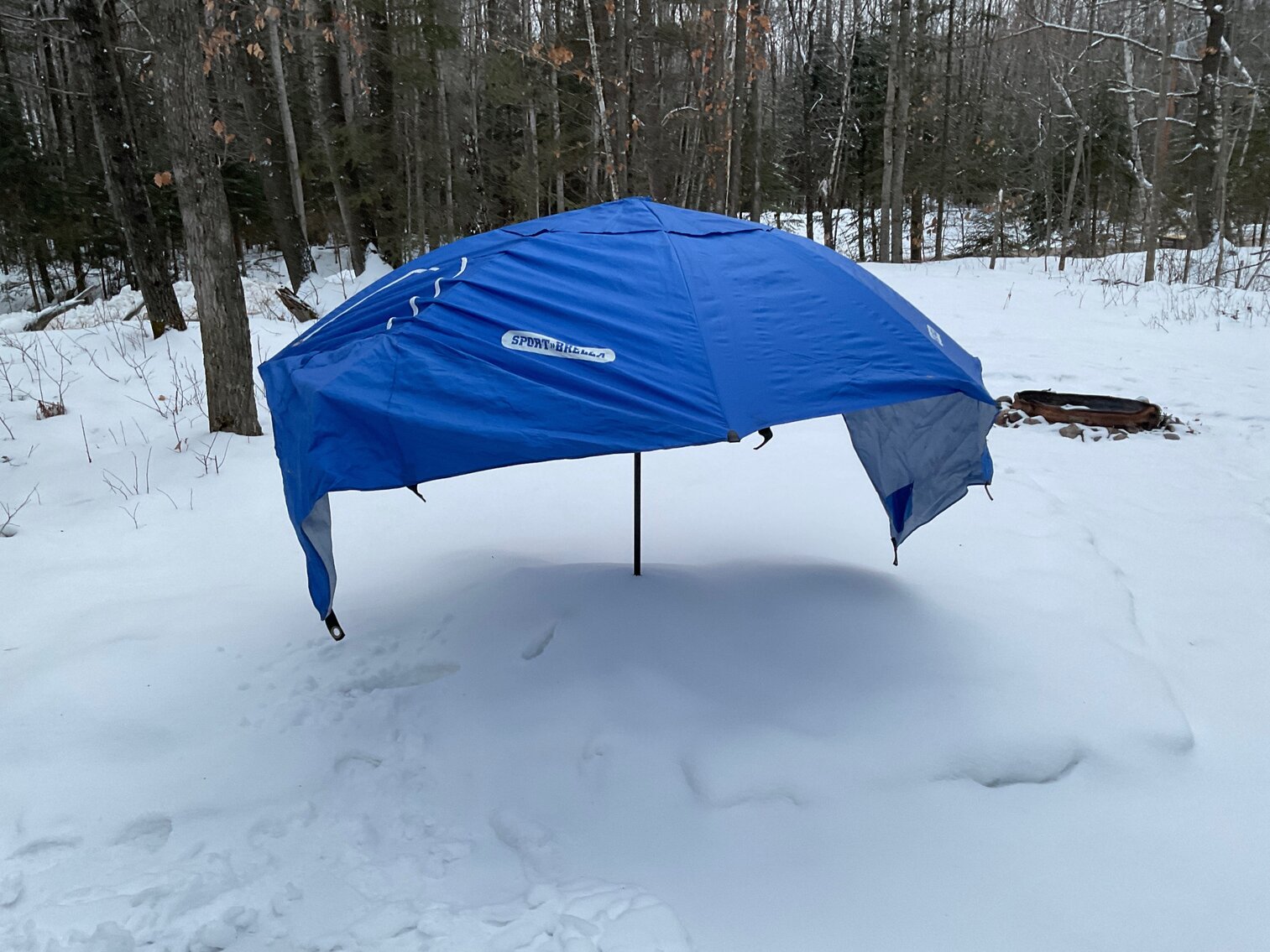 Sports umbrella