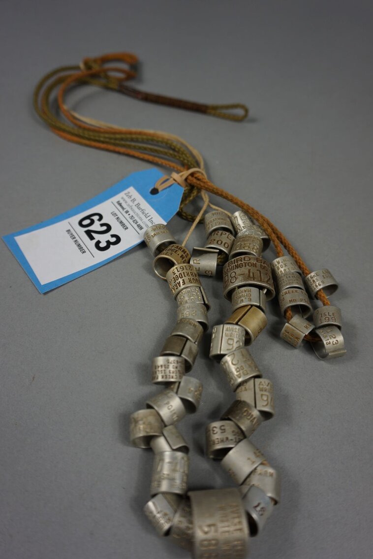 Image for Three Day Winter Sportsman's Auction 2023 Session 3