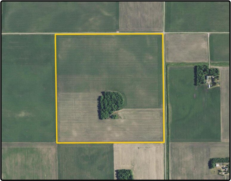 Image for Closed - Yellow Medicine Co., MN - 160.00 Ac., m/l (190-0172-01)
