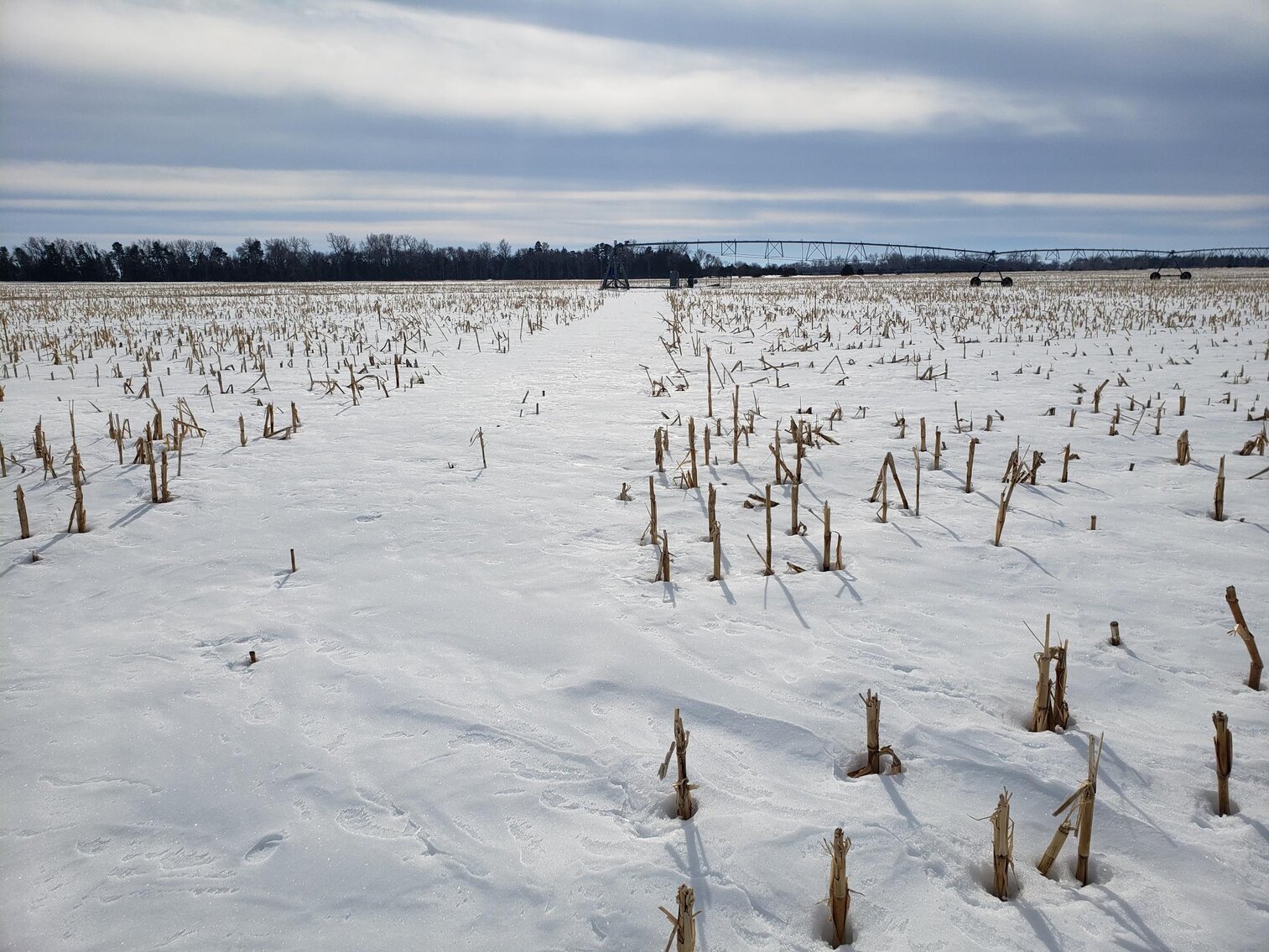 Image for 153+/- Acres in Holt County, NE