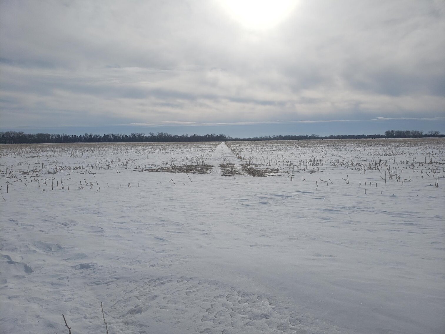 Image for 153+/- Acres in Holt County, NE