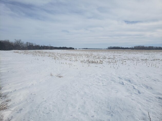 Image for 153+/- Acres in Holt County, NE