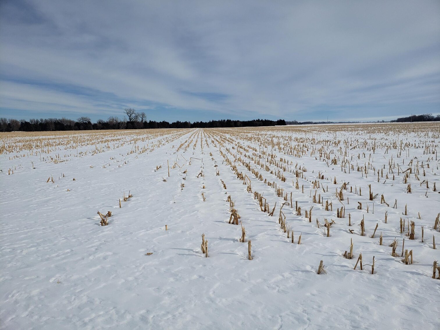 Image for 153+/- Acres in Holt County, NE