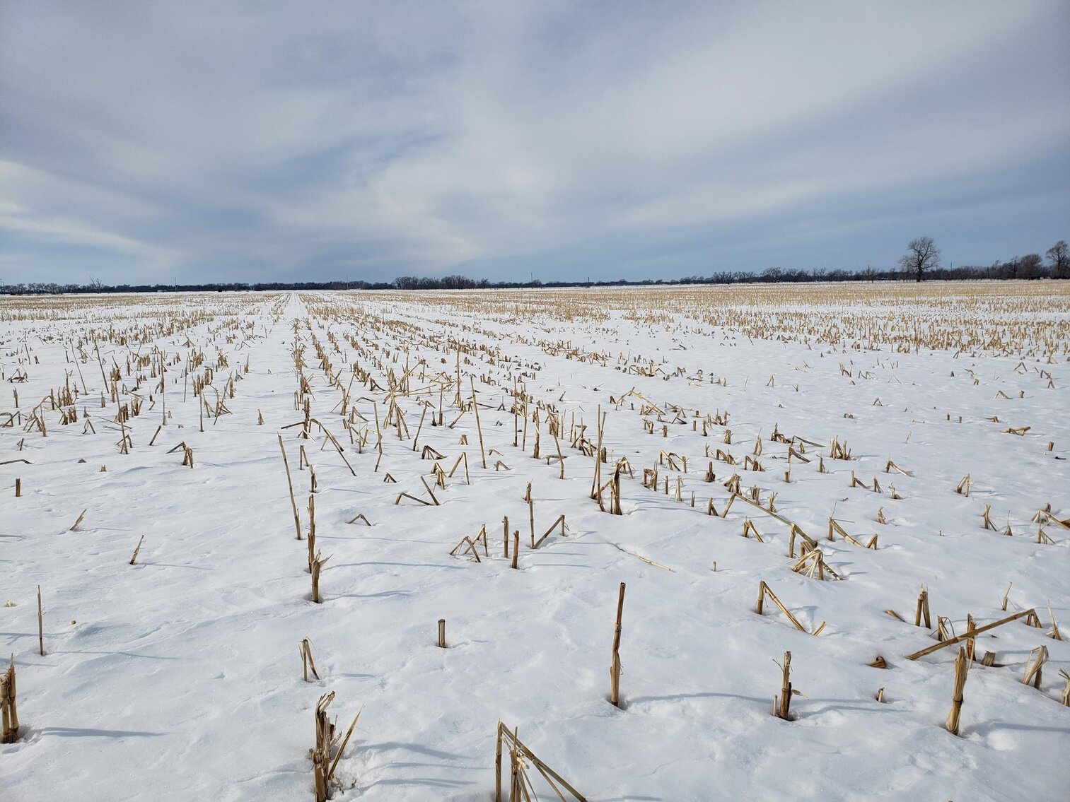 Image for 153+/- Acres in Holt County, NE