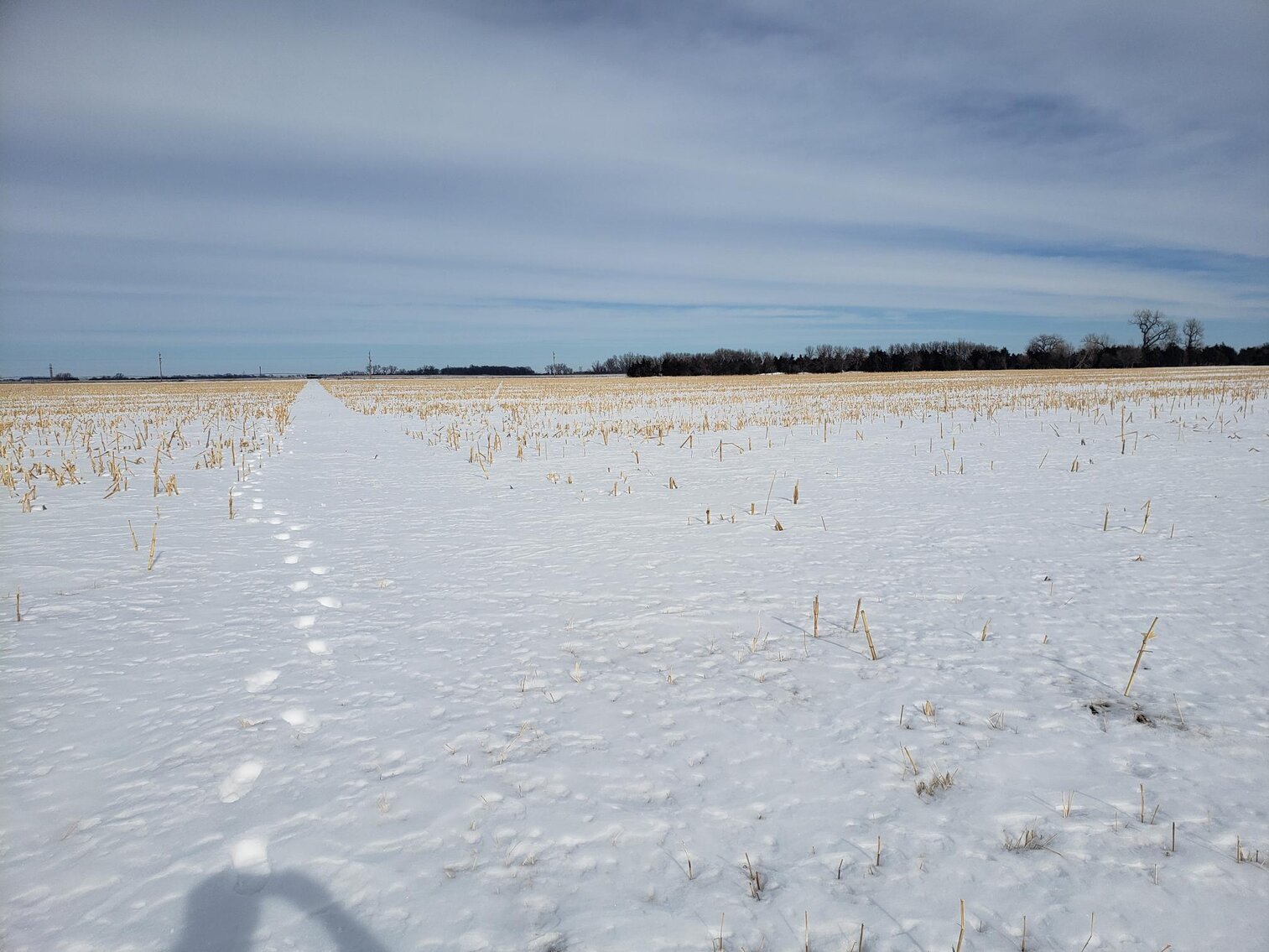 Image for 153+/- Acres in Holt County, NE