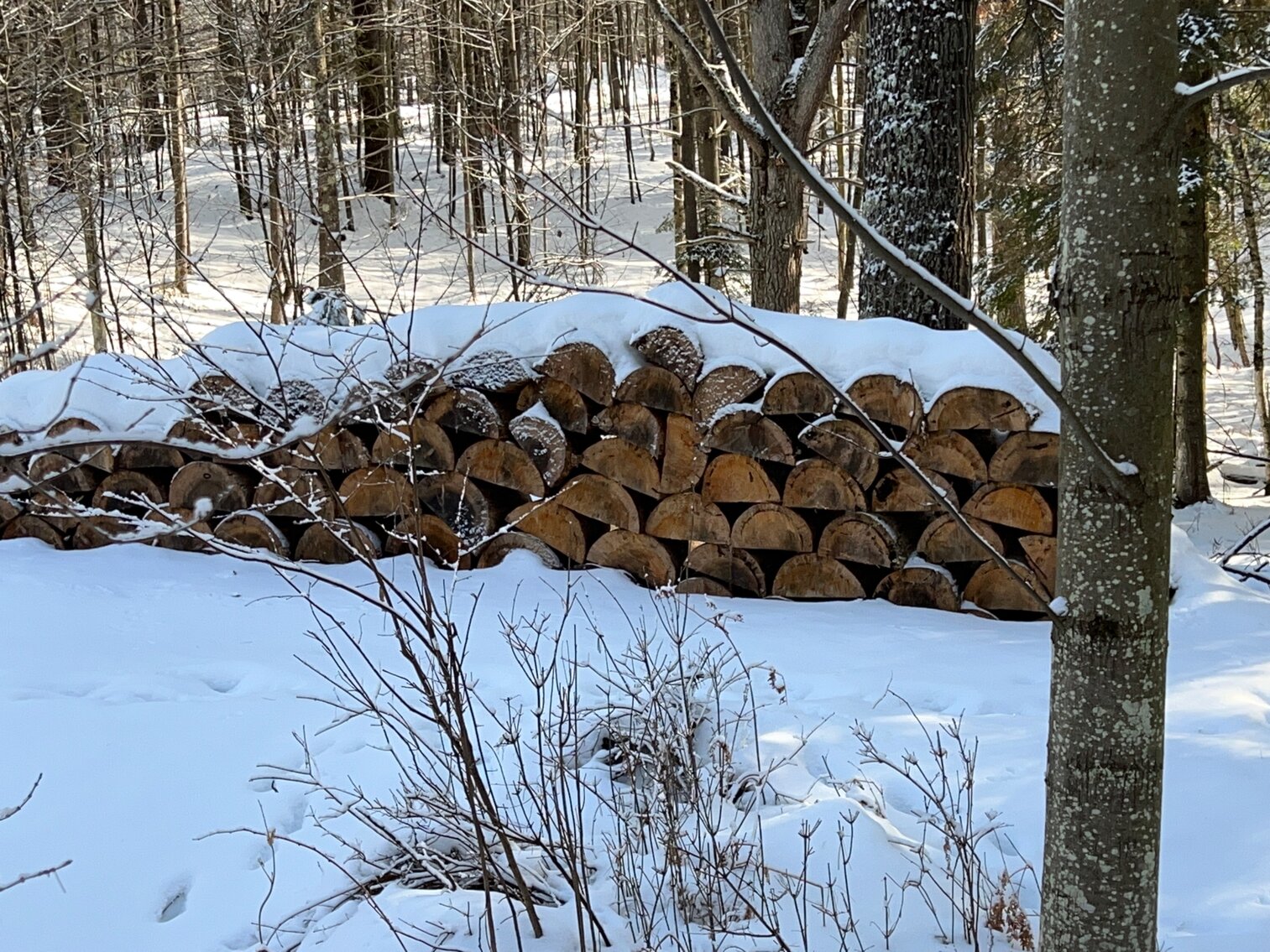 Misc firewood 