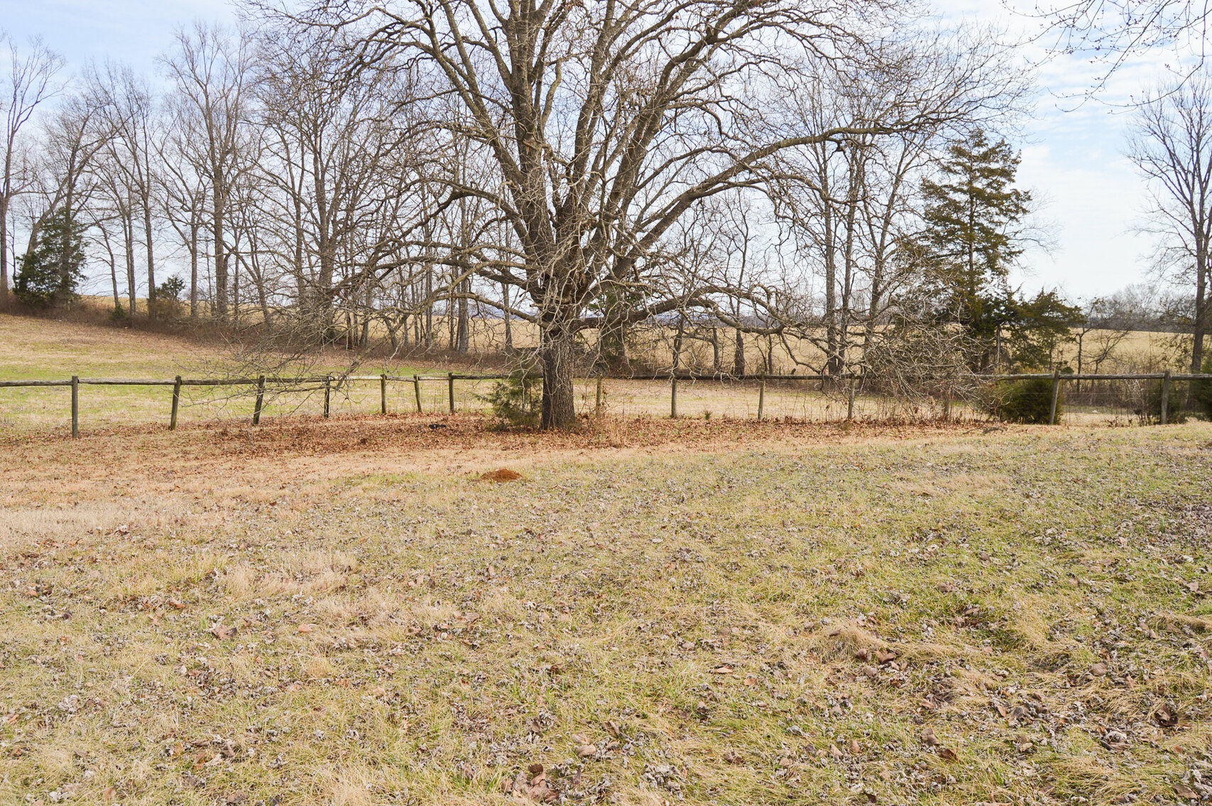 Image for 1446 Highway 64 West, Shelbyville