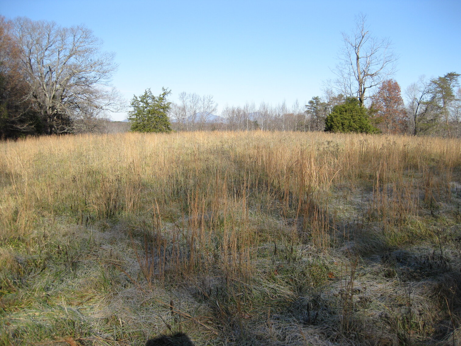 Image for Beautiful Bedford County Farm - 92 ± acres