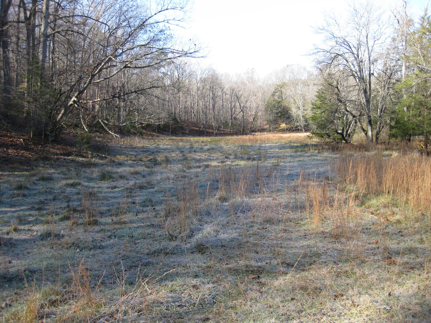 Image for Beautiful Bedford County Farm - 92 ± acres