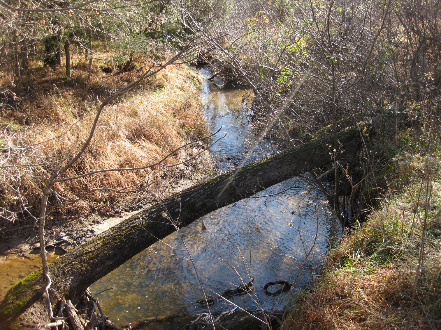 Image for Beautiful Bedford County Farm - 92 ± acres