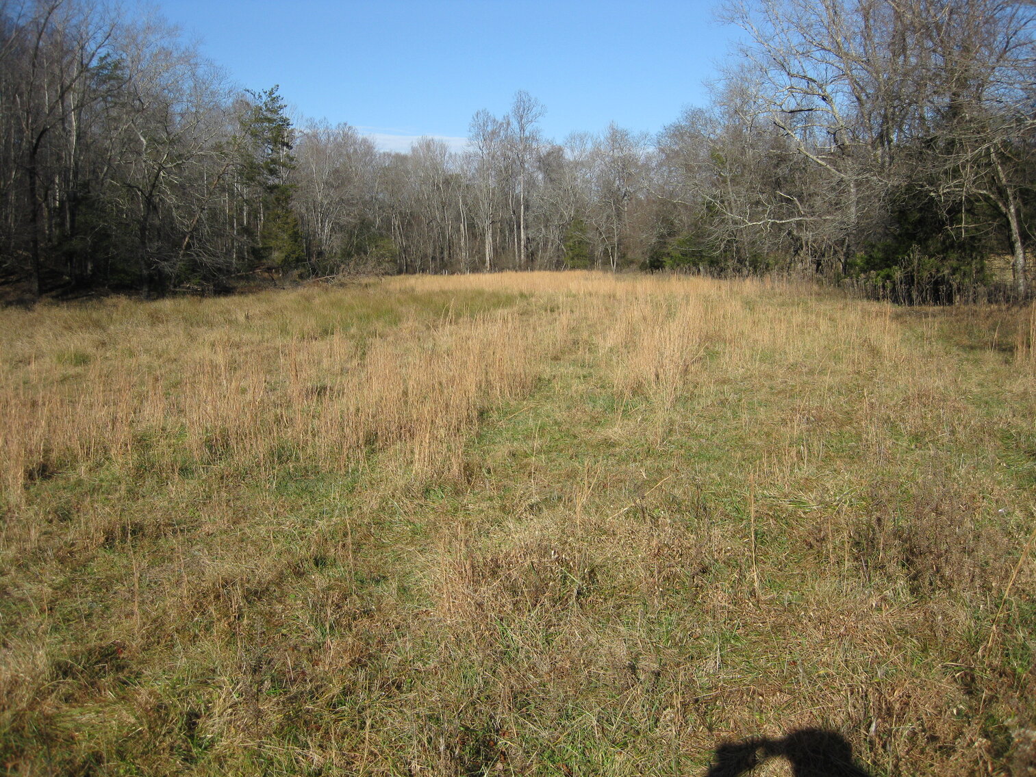 Image for Beautiful Bedford County Farm - 92 ± acres