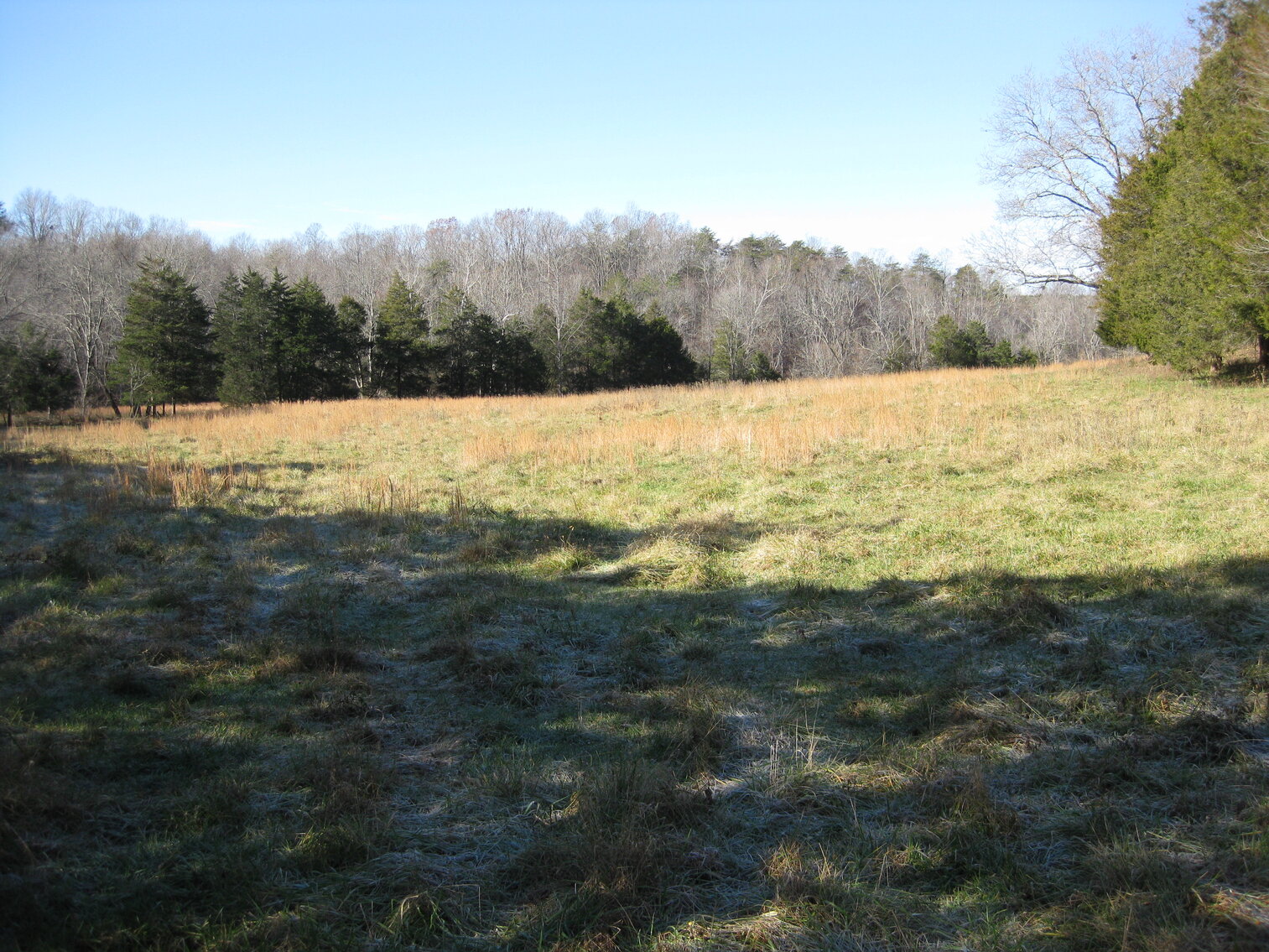 Image for Beautiful Bedford County Farm - 92 ± acres