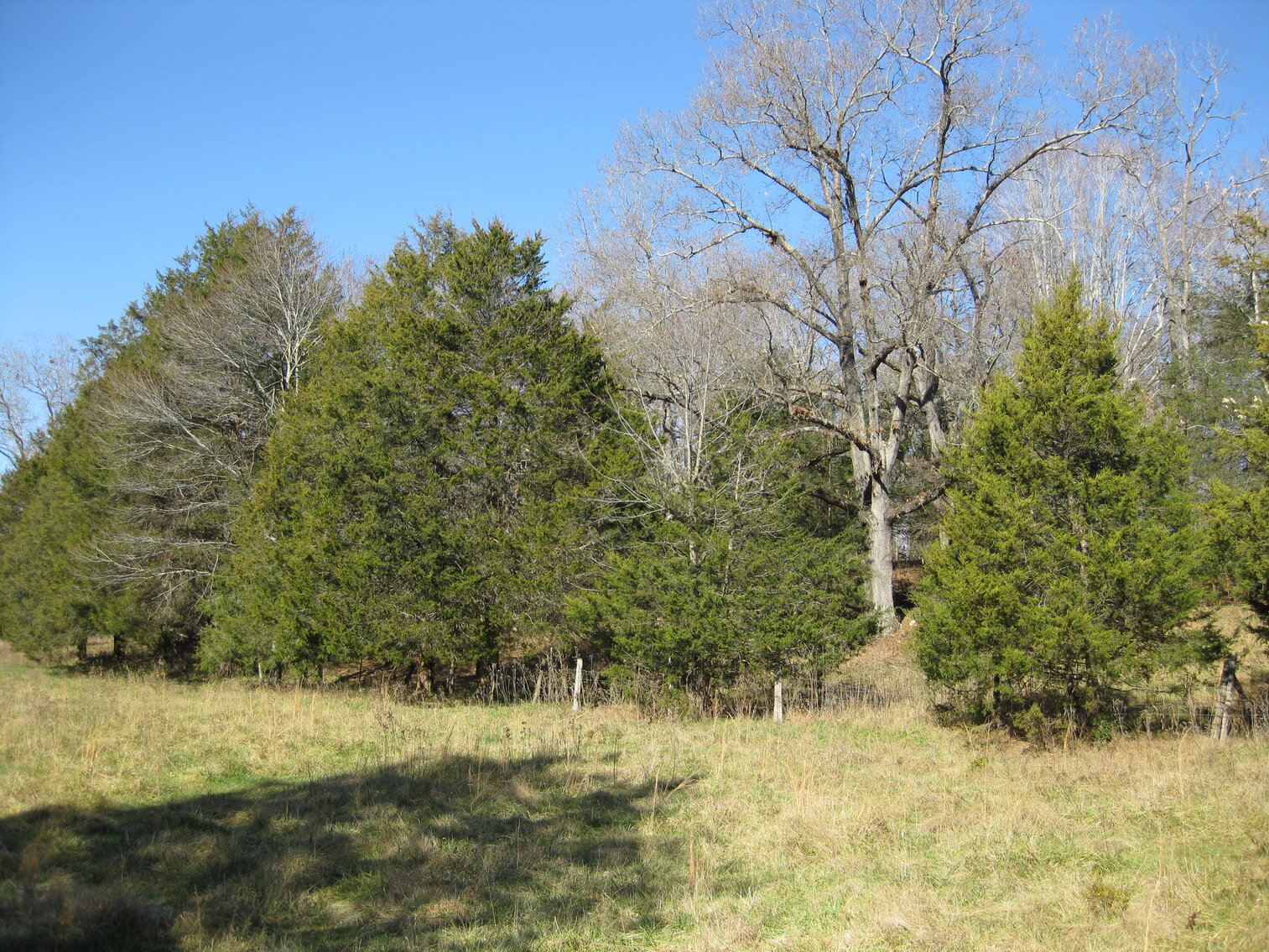 Image for Beautiful Bedford County Farm - 92 ± acres
