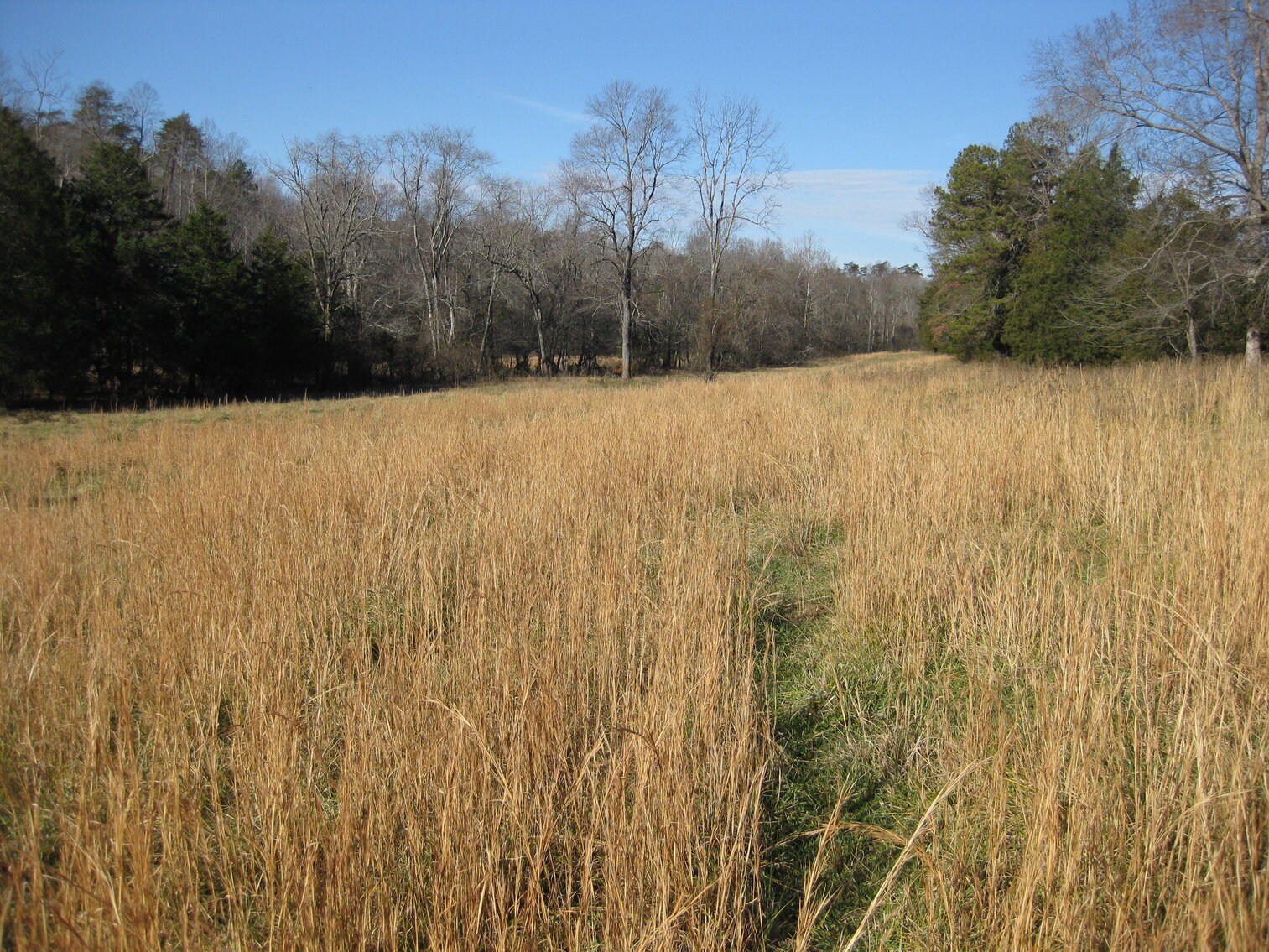 Image for Beautiful Bedford County Farm - 92 ± acres