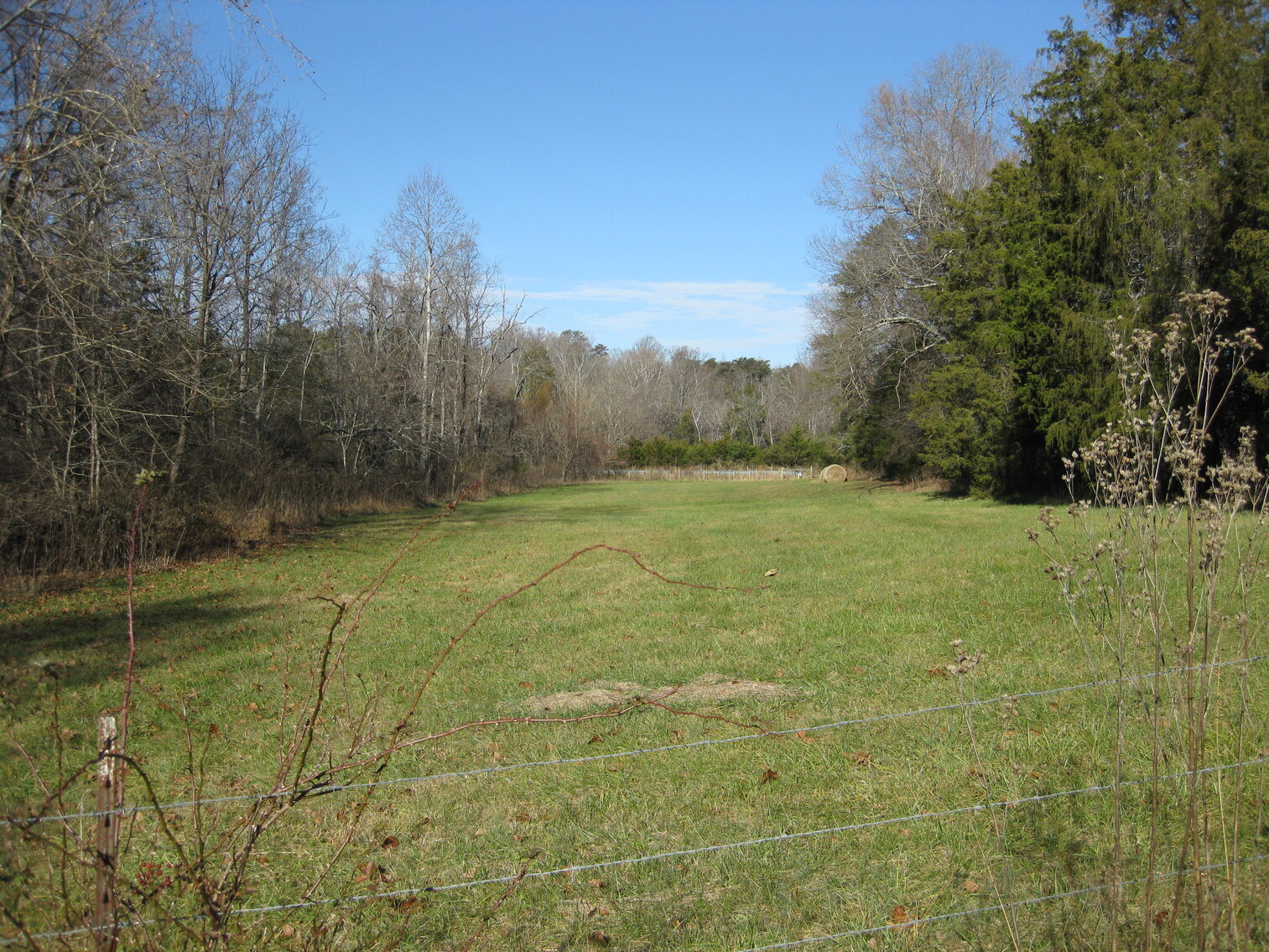Image for Beautiful Bedford County Farm - 92 ± acres