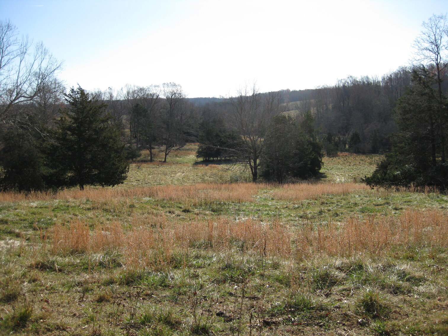 Image for Beautiful Bedford County Farm - 92 ± acres