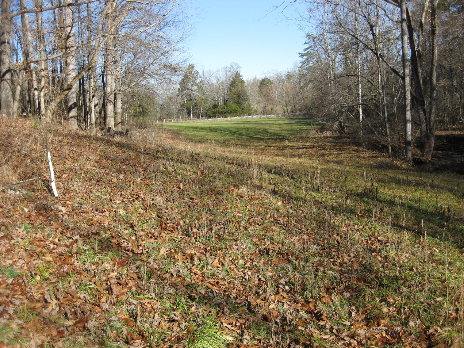 Image for Beautiful Bedford County Farm - 92 ± acres
