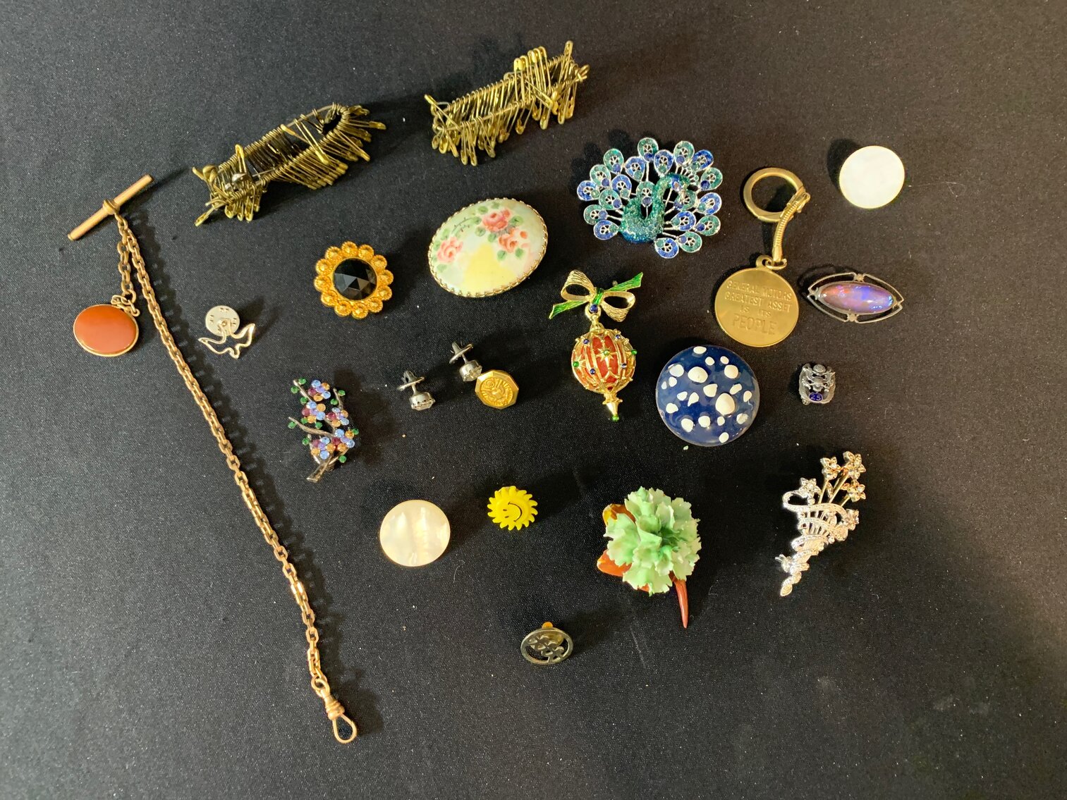 Pins and Earrings