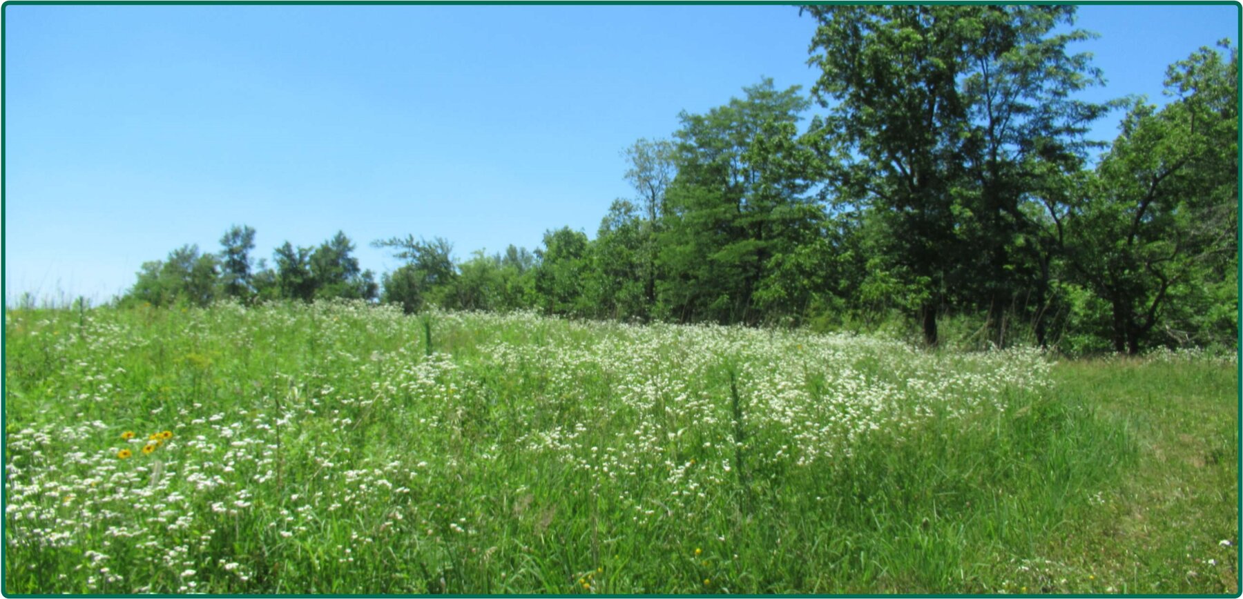 Image for Closed - Linn Co., IA - 6.02 Ac., m/l (010-2428-02)