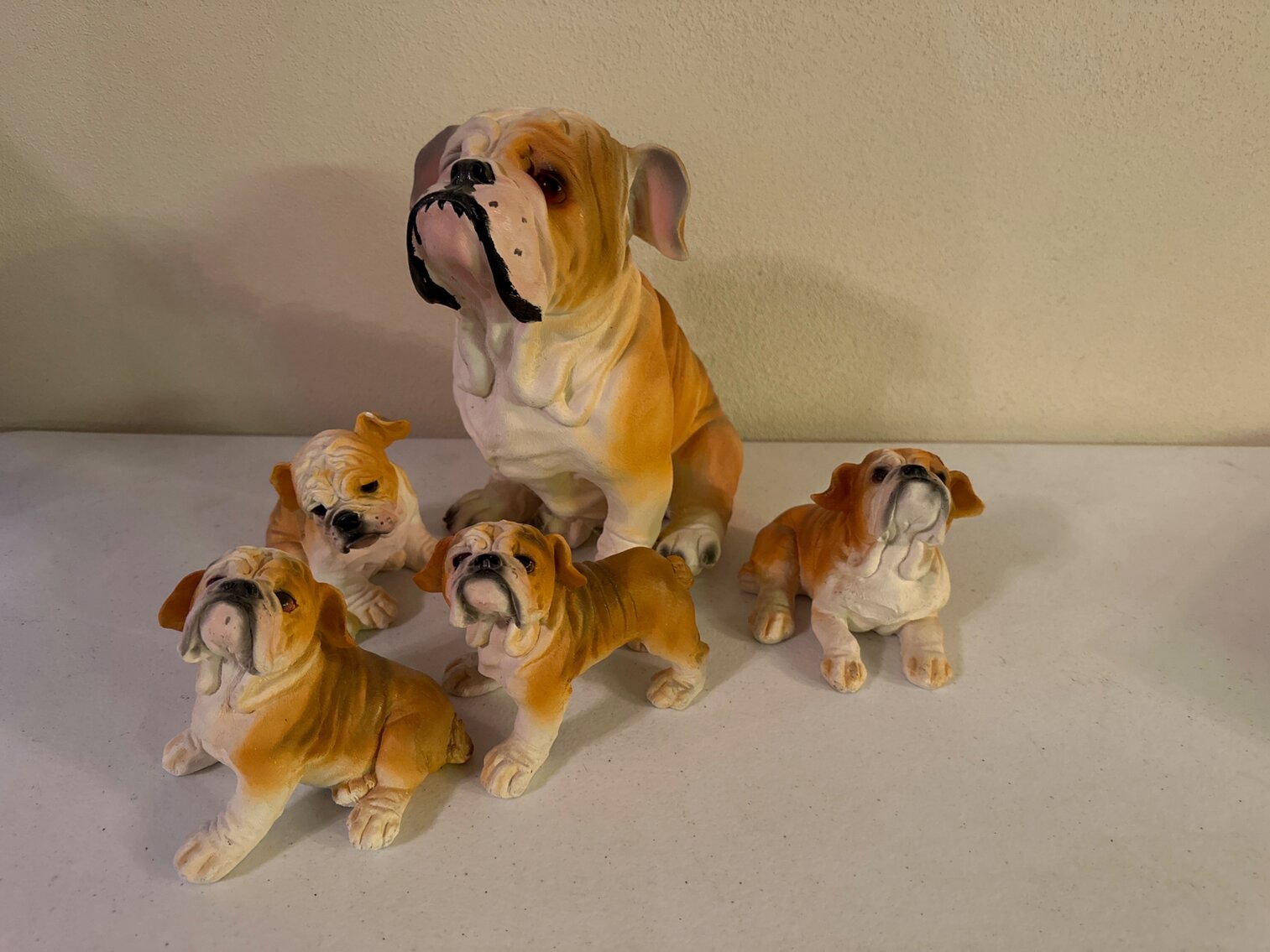 Brown and White Bulldogs