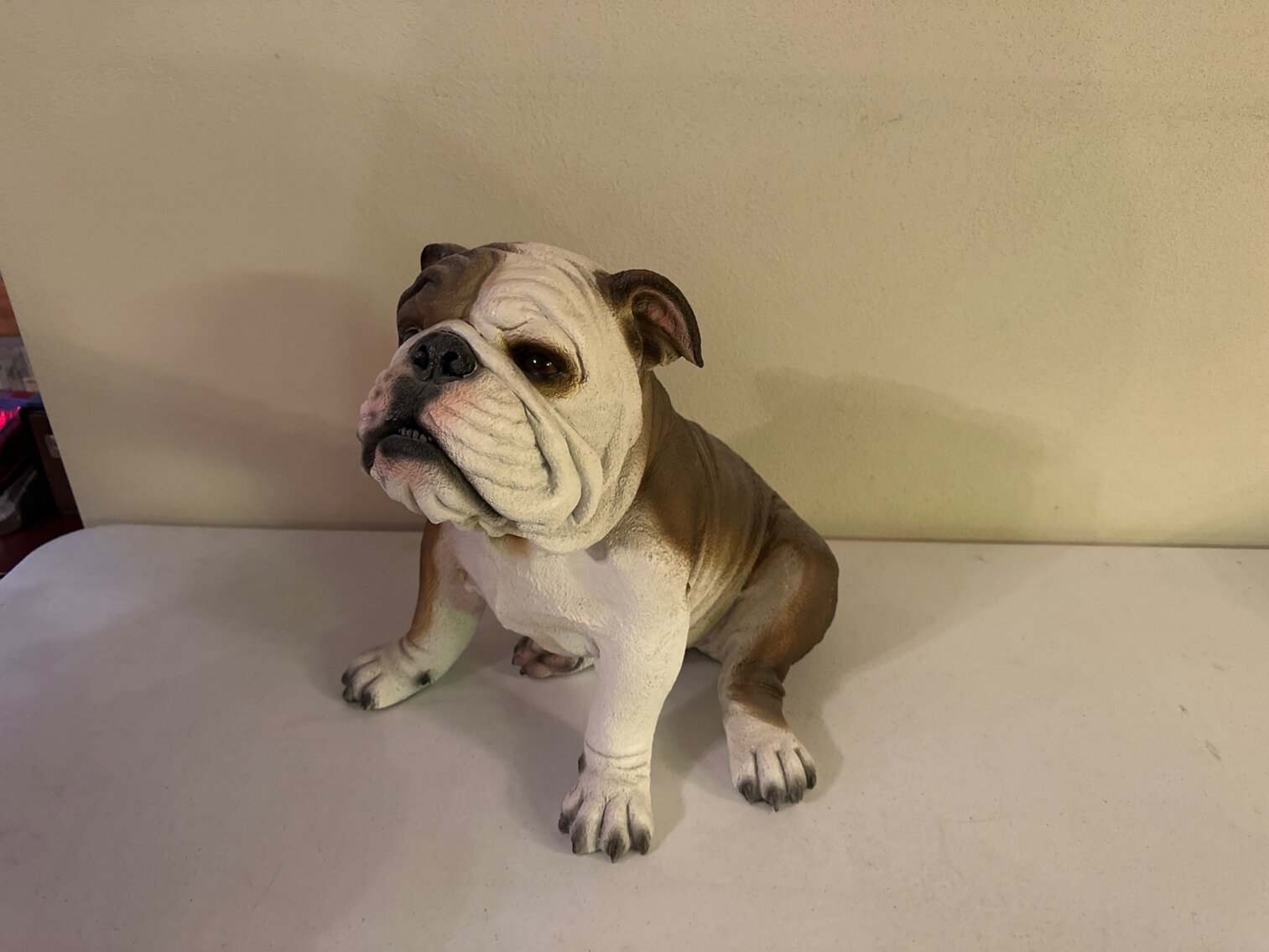 Large Bulldog