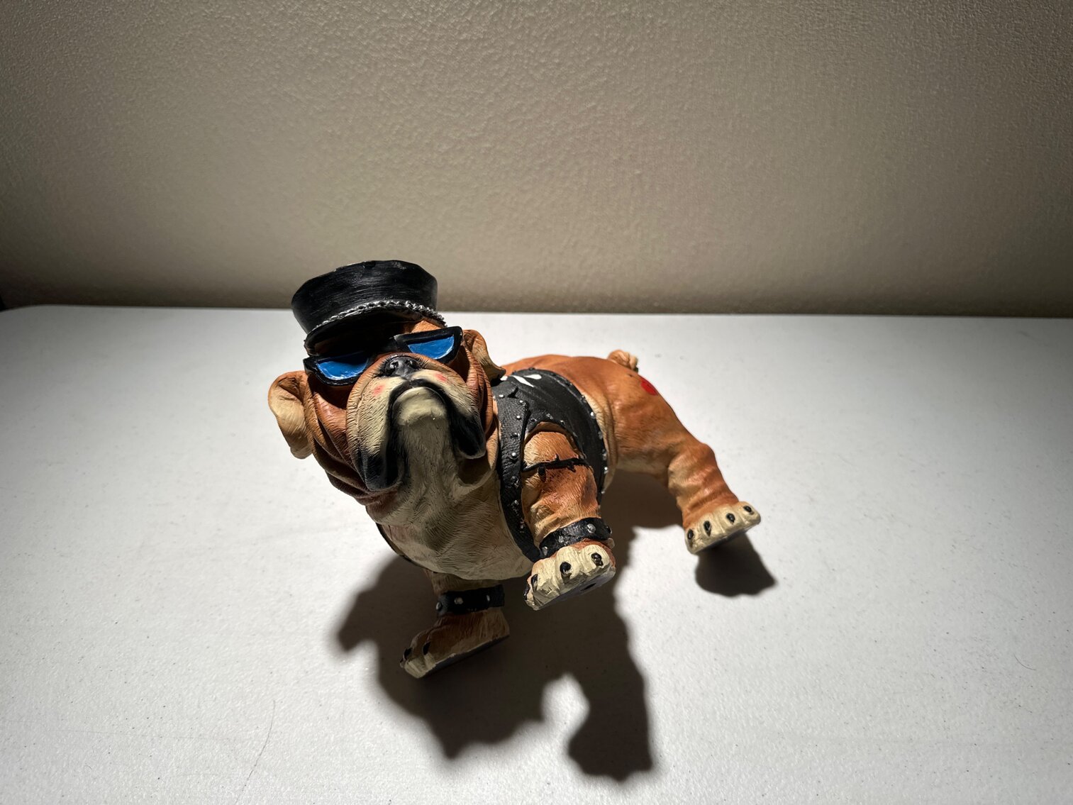Bulldog with Leather