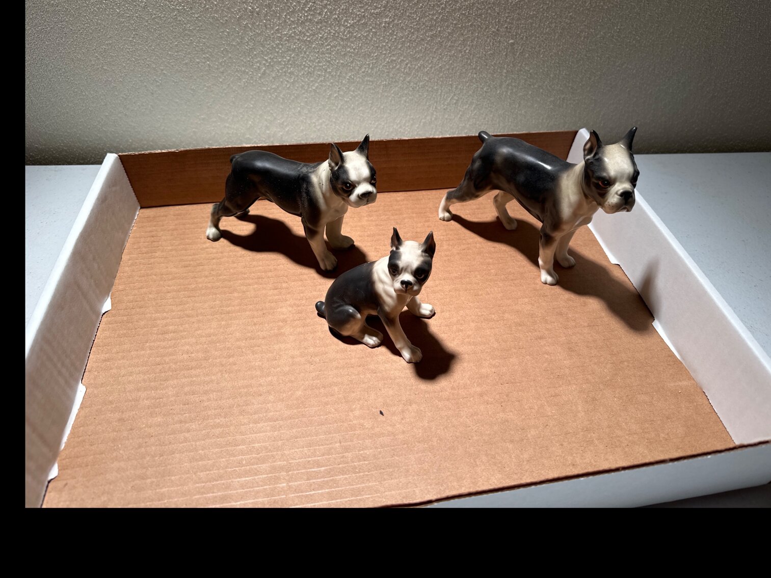 Black and White Bulldogs
