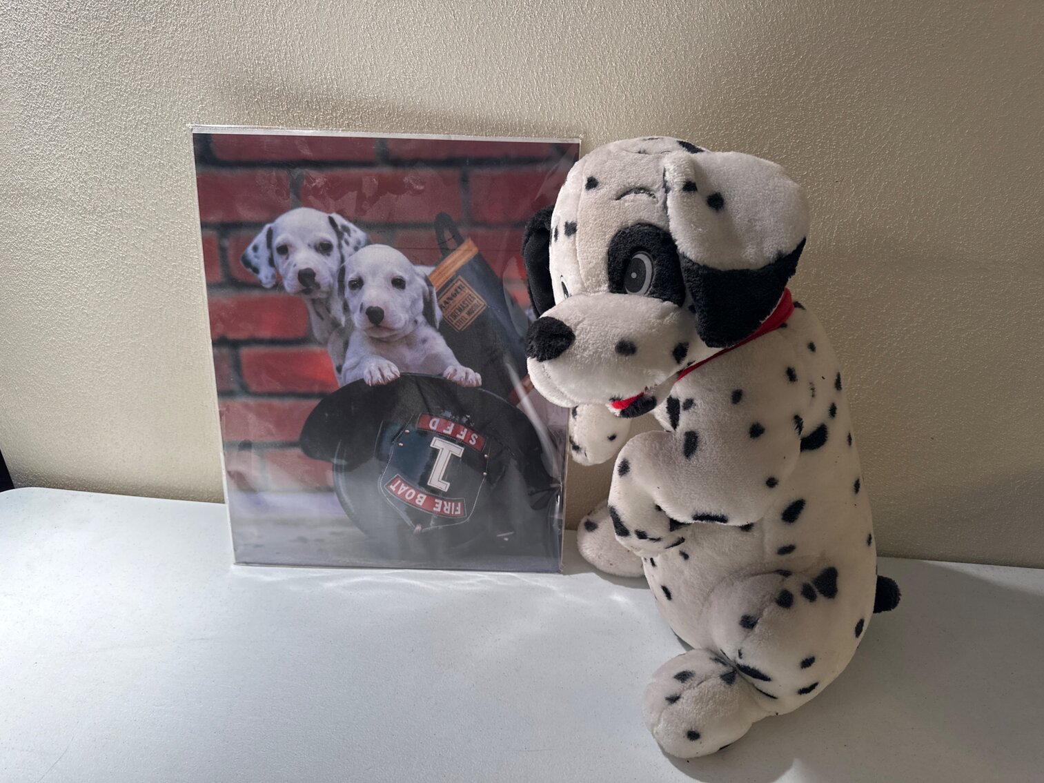 Dalmatian Stuffed Animal, Poster