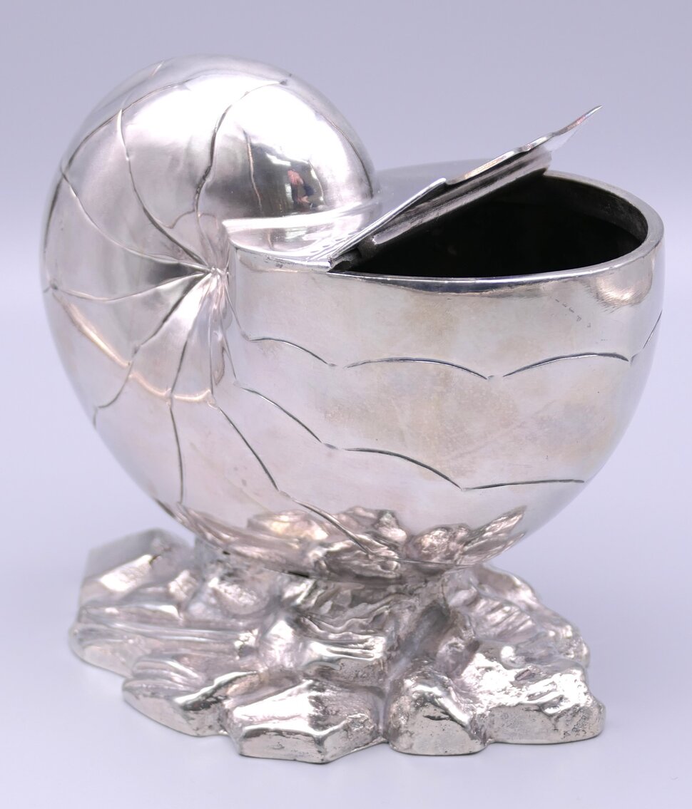 Nautilus Shell Spoon Warmer