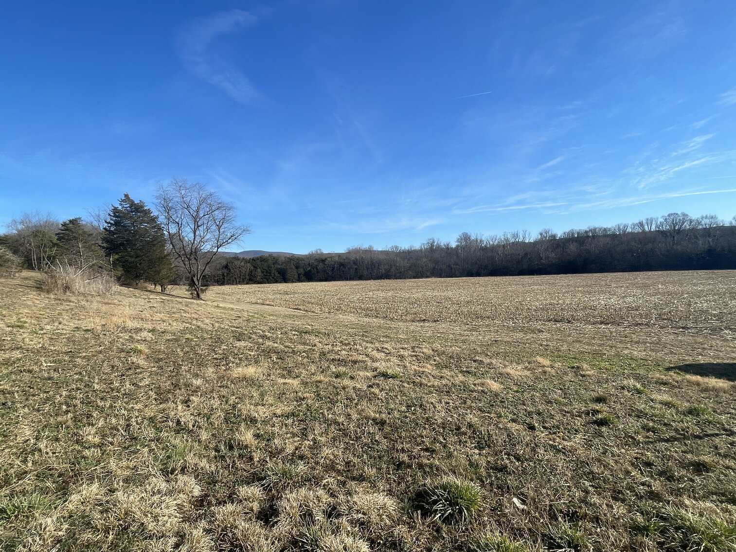 Image for 39.3 +/- Acres of Potential Filled Property w/1,200' +/- of Frontage on US-340 in Elkton, VA--ONLINE ONLY BIDDING!!