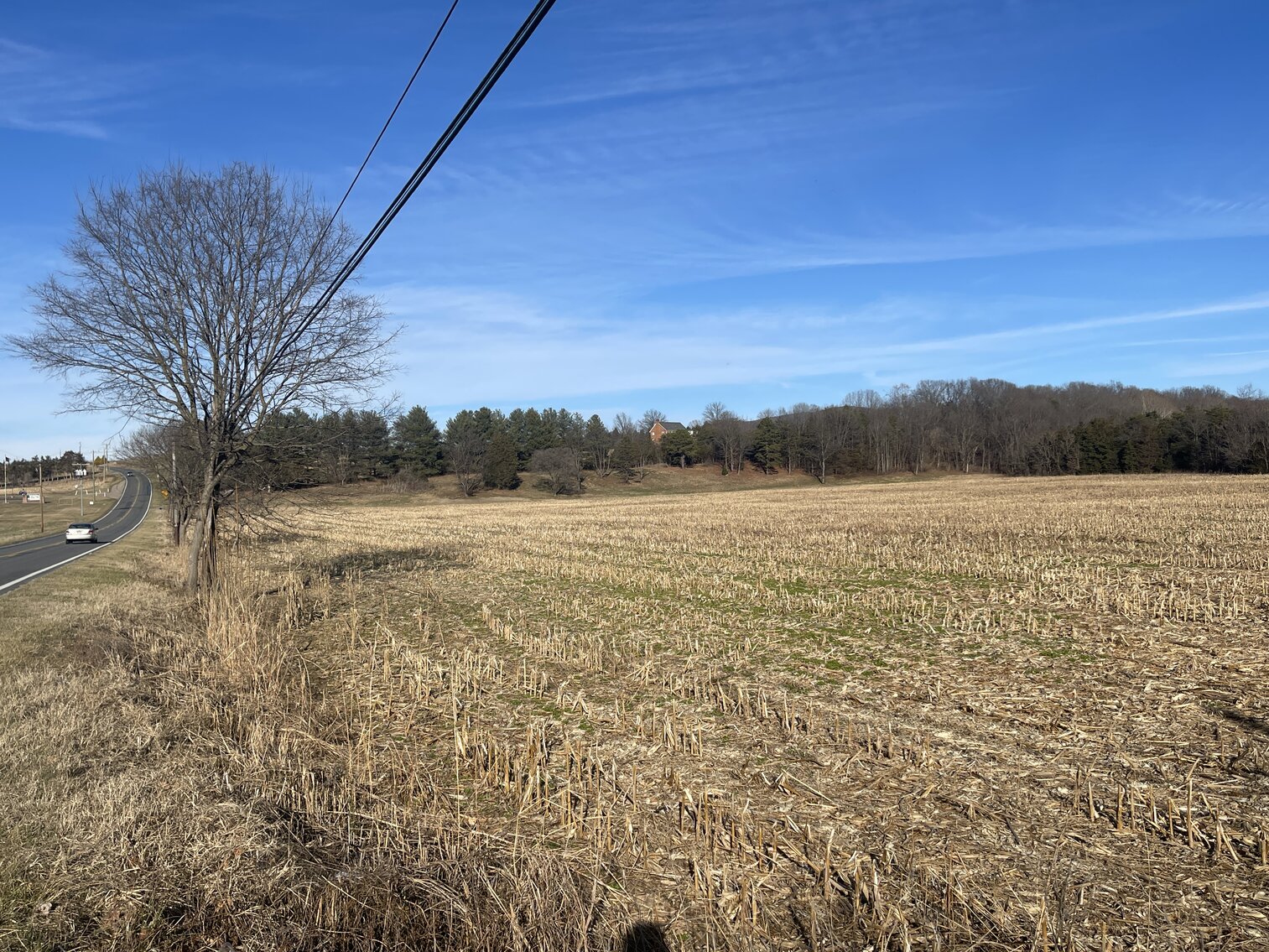 Image for 39.3 +/- Acres of Potential Filled Property w/1,200' +/- of Frontage on US-340 in Elkton, VA--ONLINE ONLY BIDDING!!