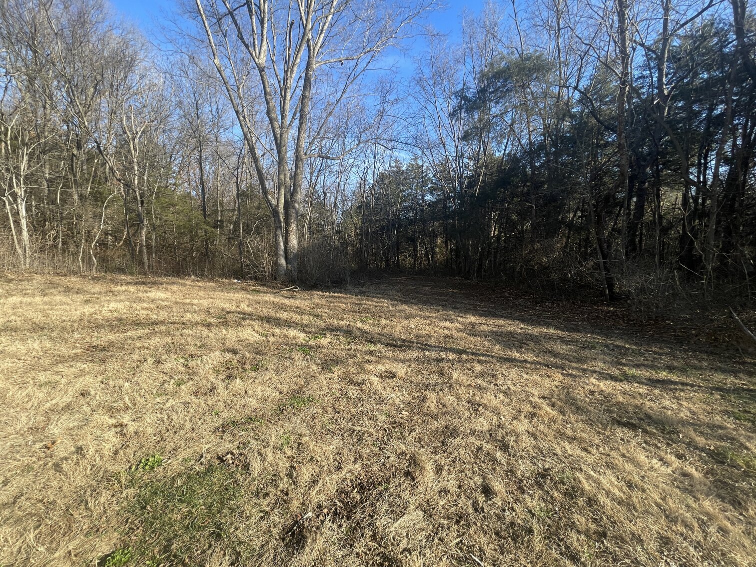 Image for 39.3 +/- Acres of Potential Filled Property w/1,200' +/- of Frontage on US-340 in Elkton, VA--ONLINE ONLY BIDDING!!