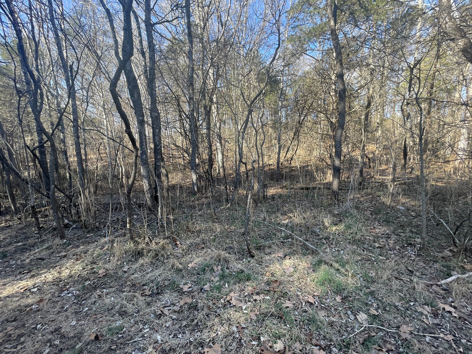 Image for 39.3 +/- Acres of Potential Filled Property w/1,200' +/- of Frontage on US-340 in Elkton, VA--ONLINE ONLY BIDDING!!