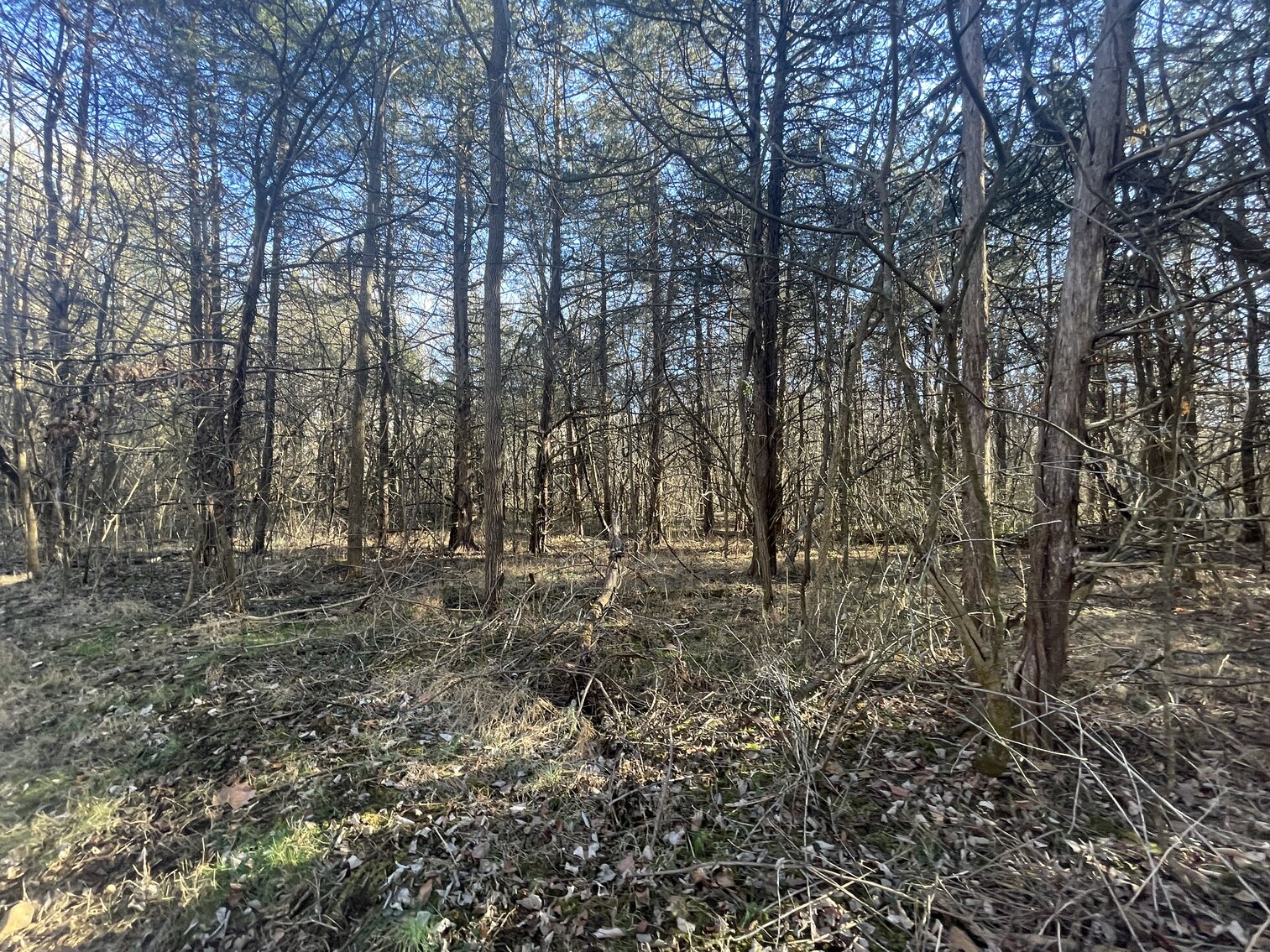 Image for 39.3 +/- Acres of Potential Filled Property w/1,200' +/- of Frontage on US-340 in Elkton, VA--ONLINE ONLY BIDDING!!