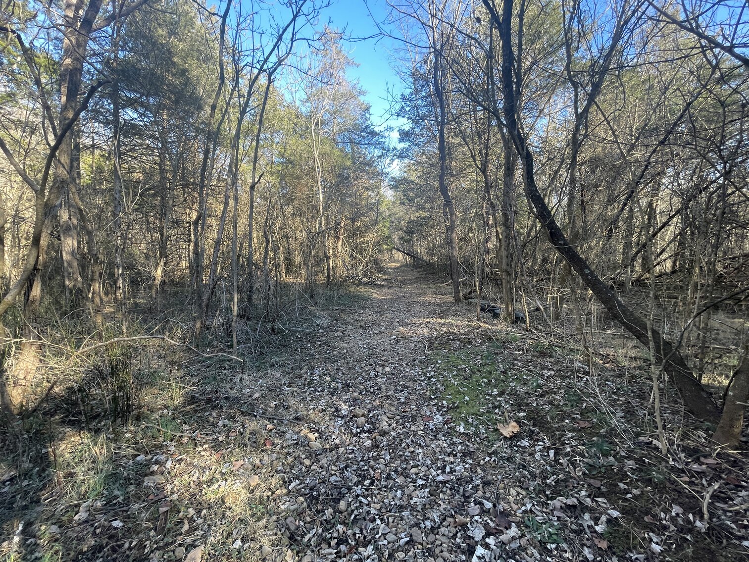 Image for 39.3 +/- Acres of Potential Filled Property w/1,200' +/- of Frontage on US-340 in Elkton, VA--ONLINE ONLY BIDDING!!