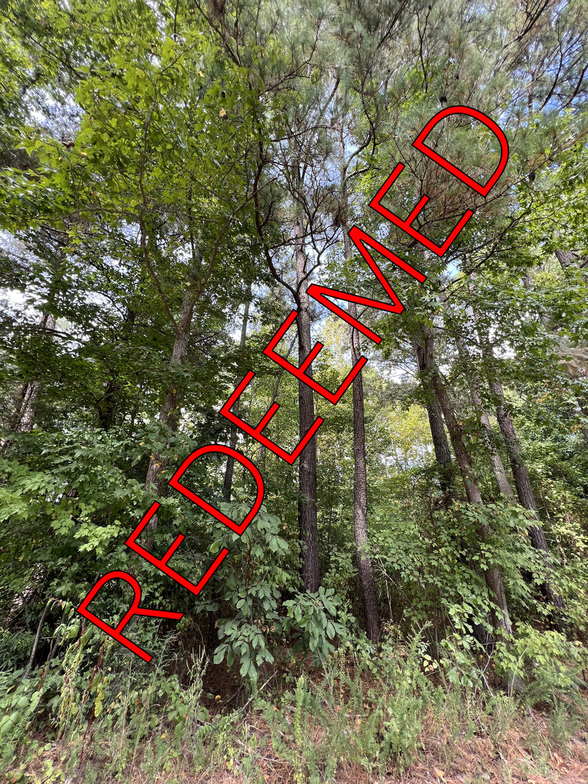 Middlesex County, VA Sale of Tax Delinquent Real Estate