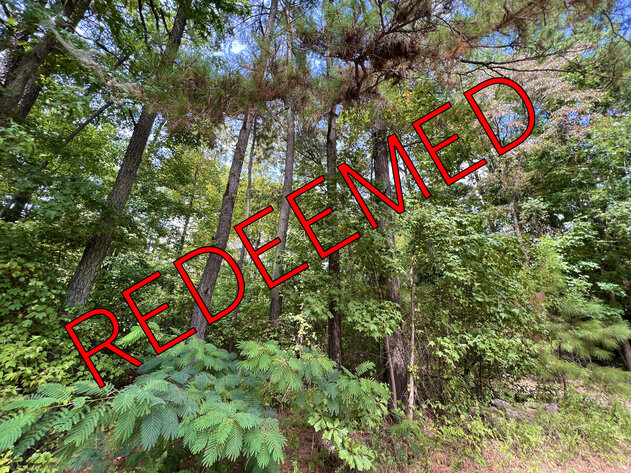 Image for Middlesex County, VA Sale of Tax Delinquent Real Estate