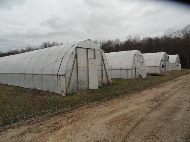 Image for Feb 18, 2023 Farm Equipment  Estate Auction