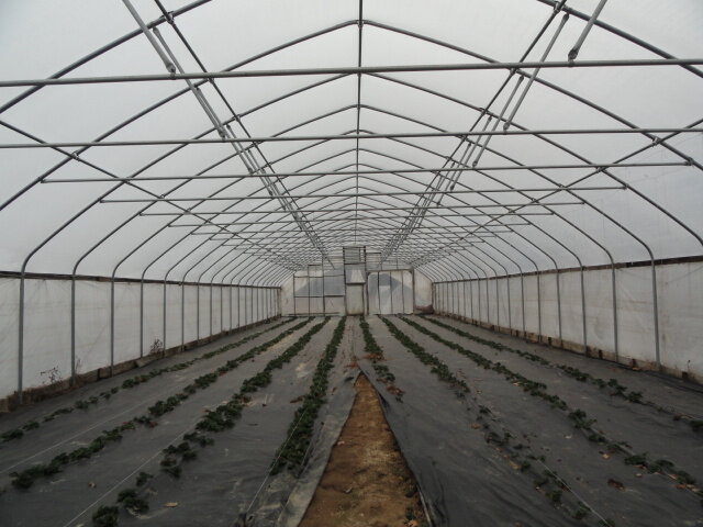 Image for Feb 18, 2023 Farm Equipment  Estate Auction