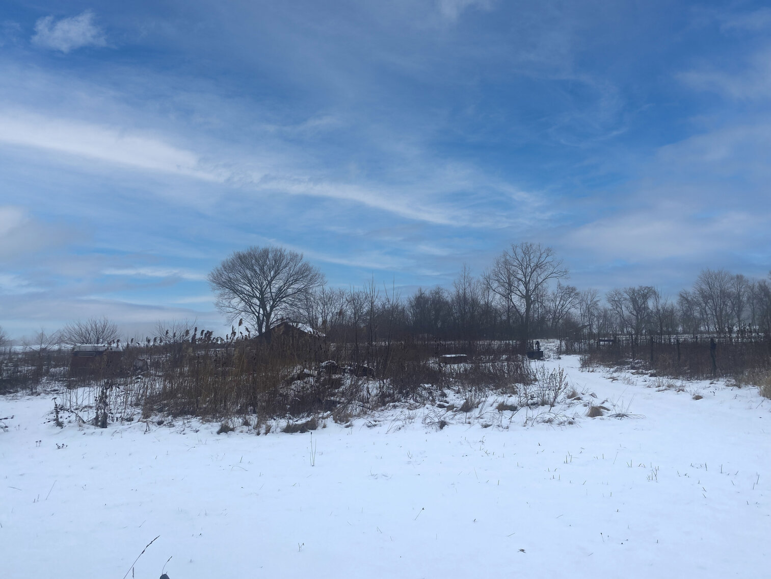 Image for 4630 Consear Road, Ottawa Lake, Michigan 49267