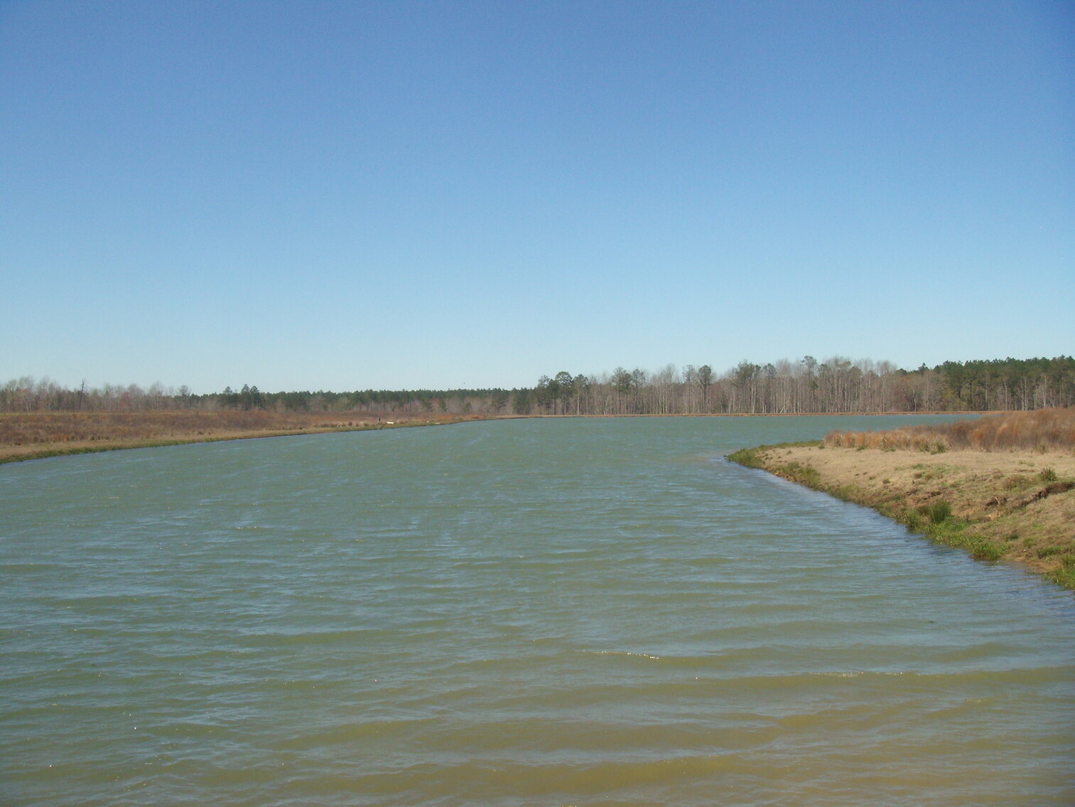 Tract 1 - 206.65 Acres located on Saw Mill Road