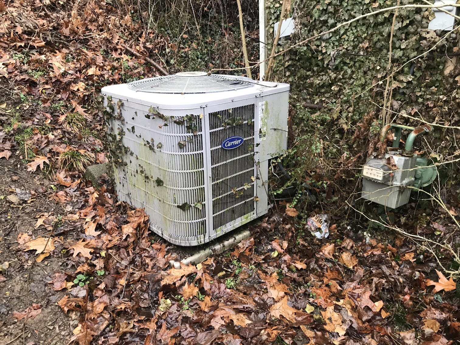 Image for SOLD $39,677 - 3 Bedroom on 4 Acres Selling to the Highest Bidder