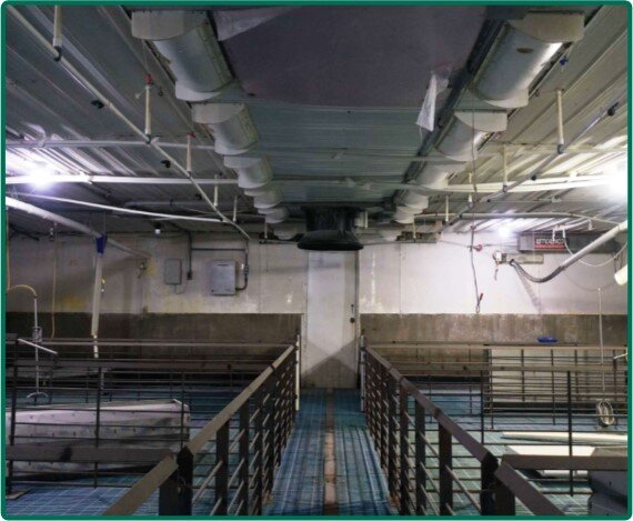 Image for Closed - Plymouth Co., IA - 4.66 Ac., m/l (000-3859-06)