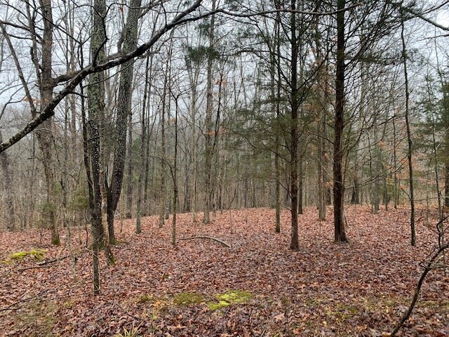 Image for Vacant Lot near Golf Course / Skyview Drive in Centerville