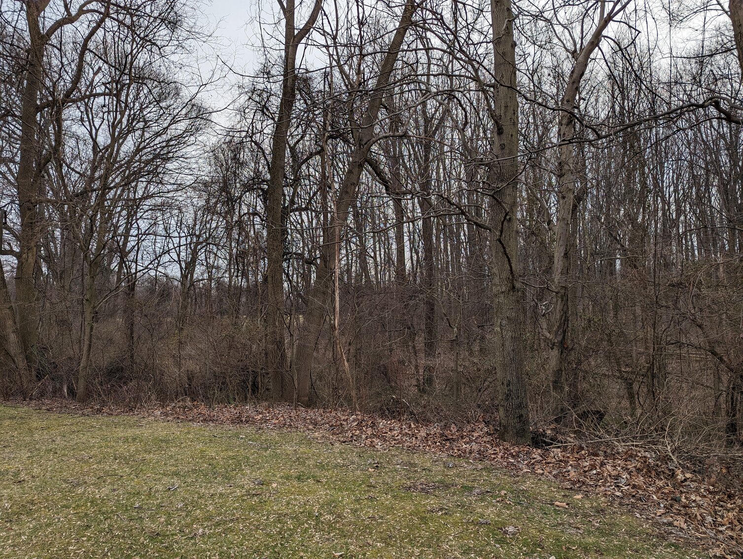 Image for CLEAN 3 BR, 2.5 BA SPLIT LEVEL HOME W/ 2-CAR SIDE LOAD GARAGE ON 2.13+/- ACRE LOT & HOUSEHOLD FURNISHINGS, FIGURINES & MISC.